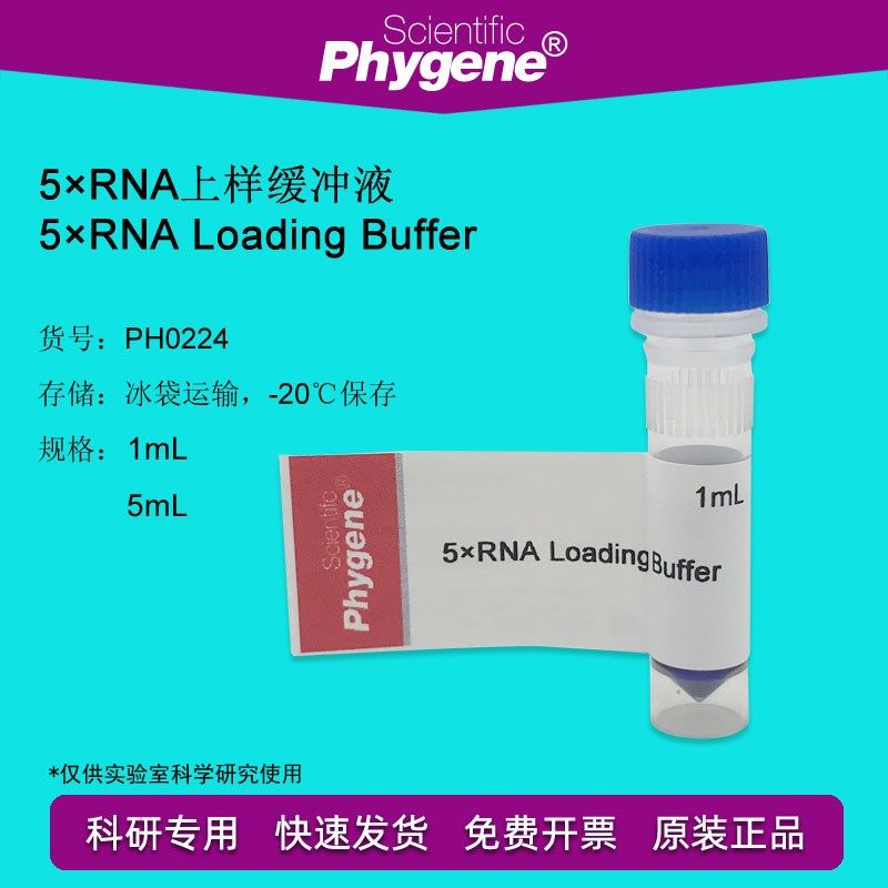 RNA上样缓冲液加样缓冲 5RNA Loading Buffer [PH0224 PHYGENE]