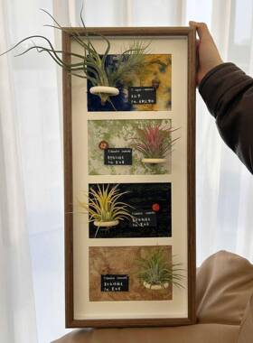 创意手工磁di空气1570凤梨植物吸相框摆件内客厅insy四联框装饰画