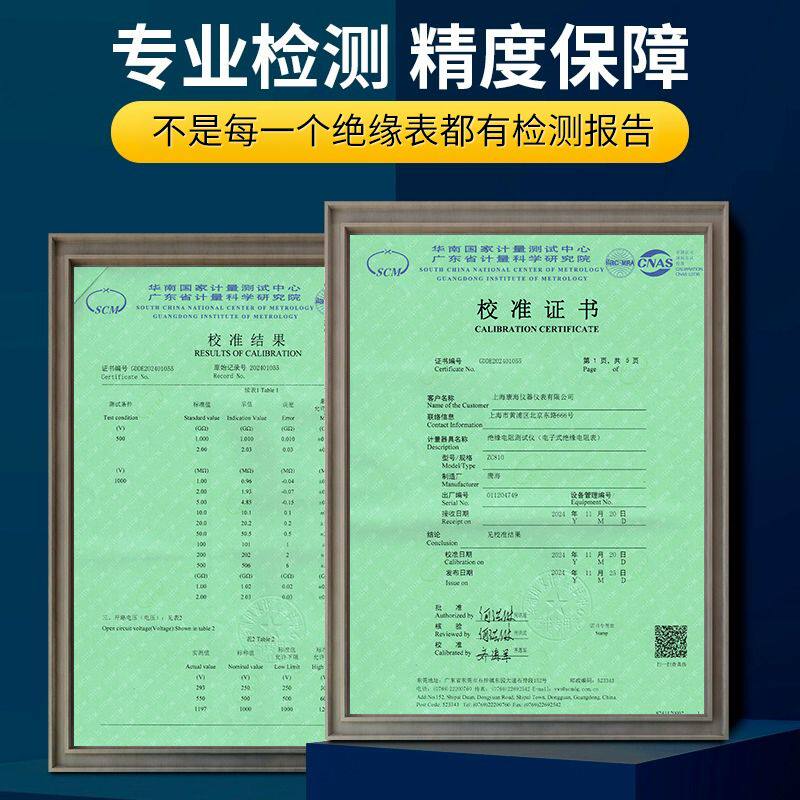 新能源汽车绝缘电阻测试仪ZC810数显兆欧表绝缘电阻250V500V1000V