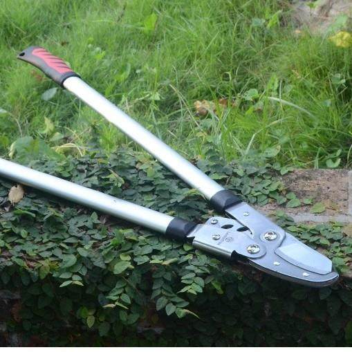 黄傅粗枝剪大剪果树师修枝刀省GH-151A1力树枝剪园林剪园力艺剪