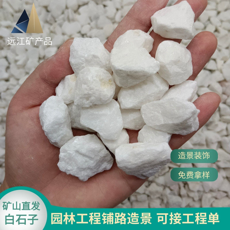 白石子鹅卵石园林工程庭院花园装饰小白石卵石白砾园林景观白石子