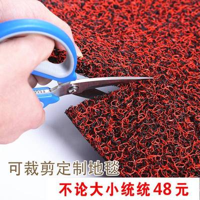 丝圈地垫进门厨房脚垫家用可裁剪地毯塑料入户门垫汽车脚垫