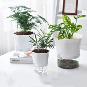 懒人花盆自吸水种植高款 圆形塑料加厚透明储土培绿萝吊兰养花盆