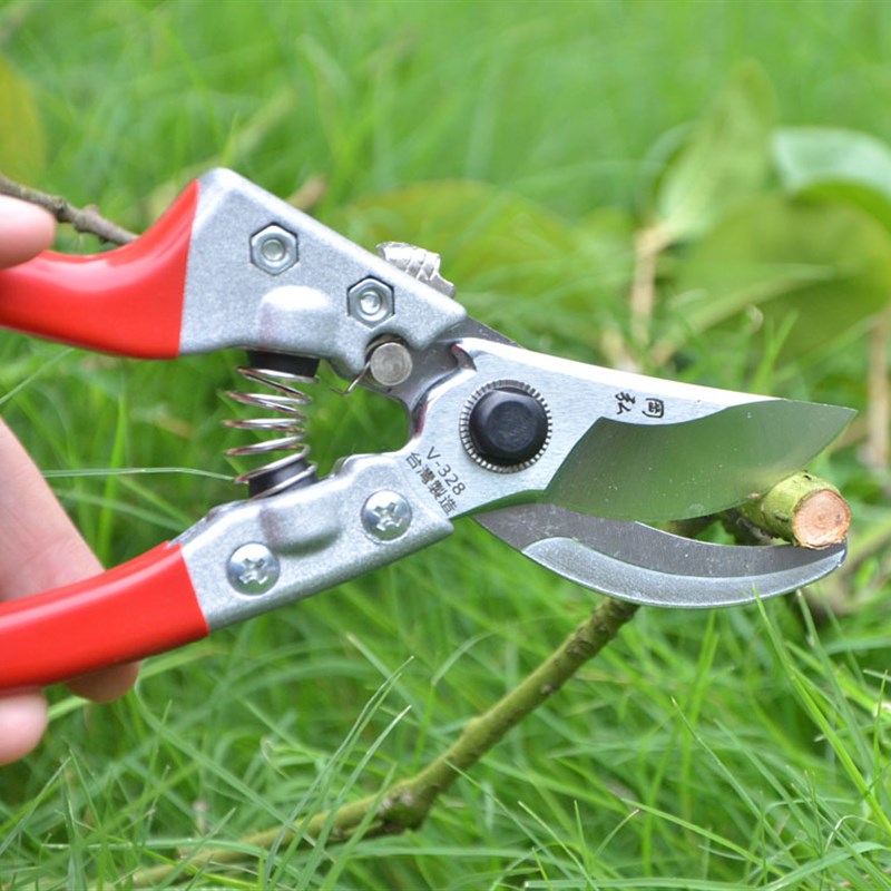 岡弘修剪树枝剪园林果枝剪刀花剪园艺粗枝剪果树植物修枝修花剪刀