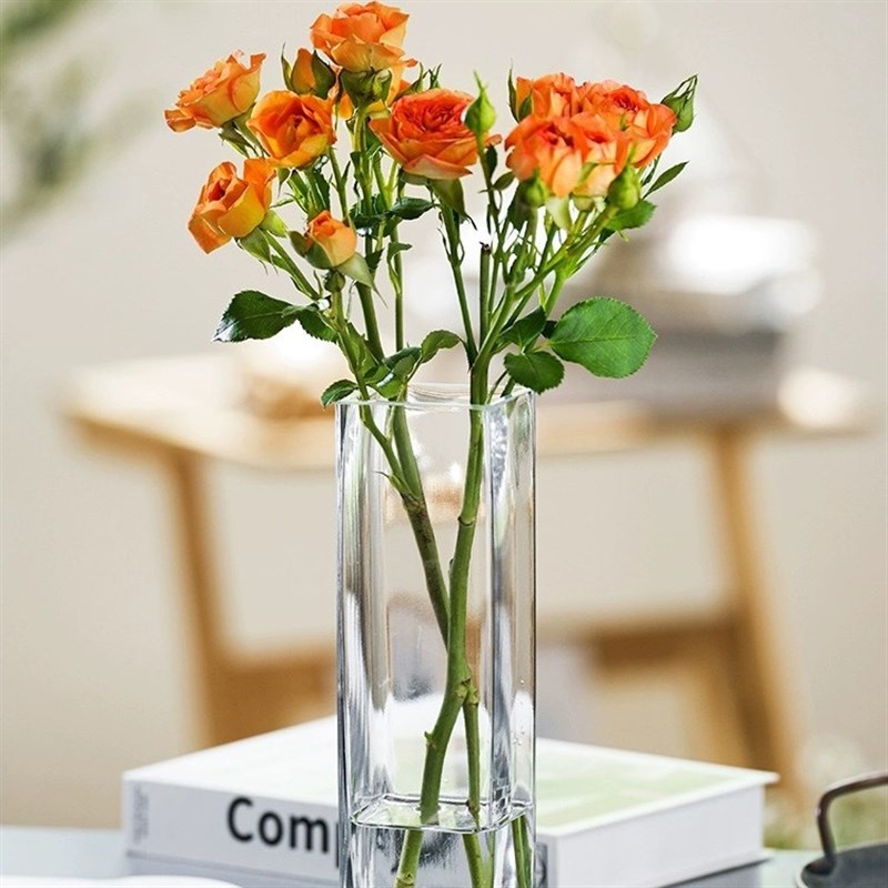 花瓶插方缸花瓶轻奢创意高级感方玻璃花艺瓶客厅软装饰