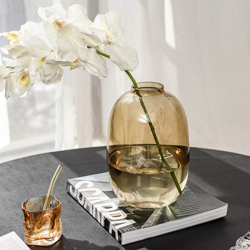 玻璃花瓶大肚瓶摆件水培吊钟雪柳马醉木水养鲜花插花客厅落地摆设