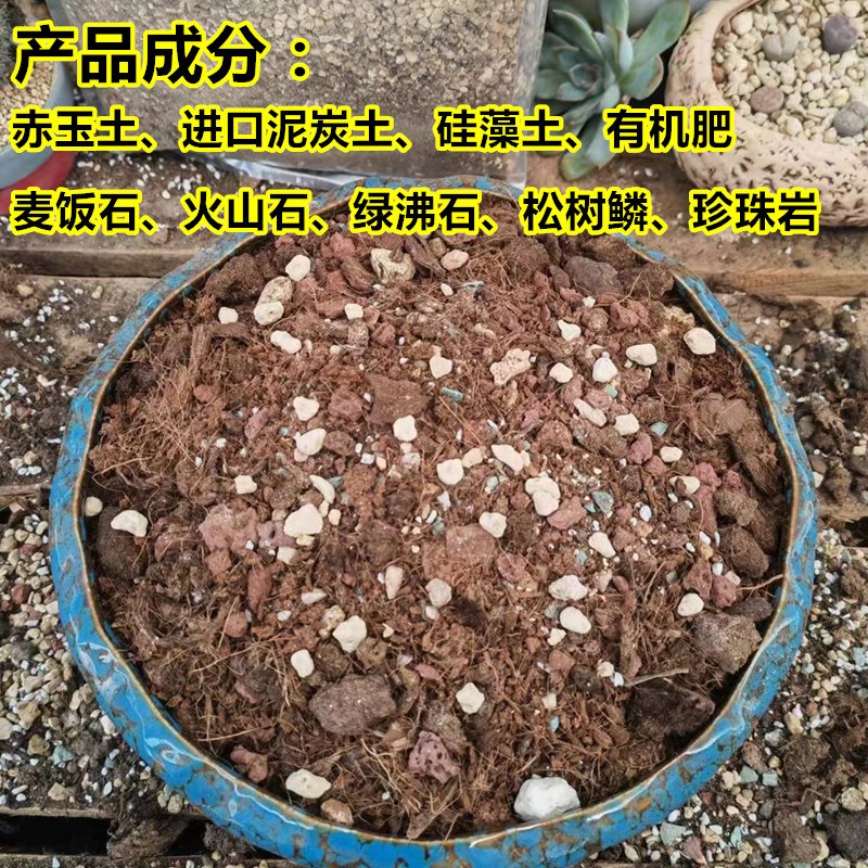 龙舌兰专用土配方颗粒土营养土盆栽种植土沙漠玫瑰多肉块根植物土