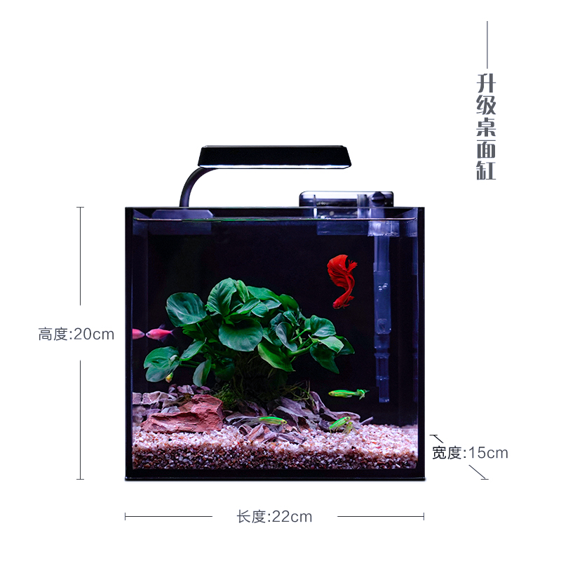 鱼缸客厅小型家用生态鱼缸新款超白玻璃造景全套水族箱桌面斗鱼缸