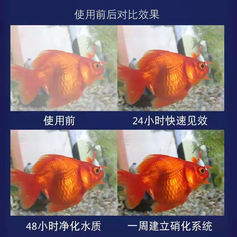 硝化细菌鱼缸专用净水剂换水水质稳定剂消化细菌活菌养鱼用品乌龟