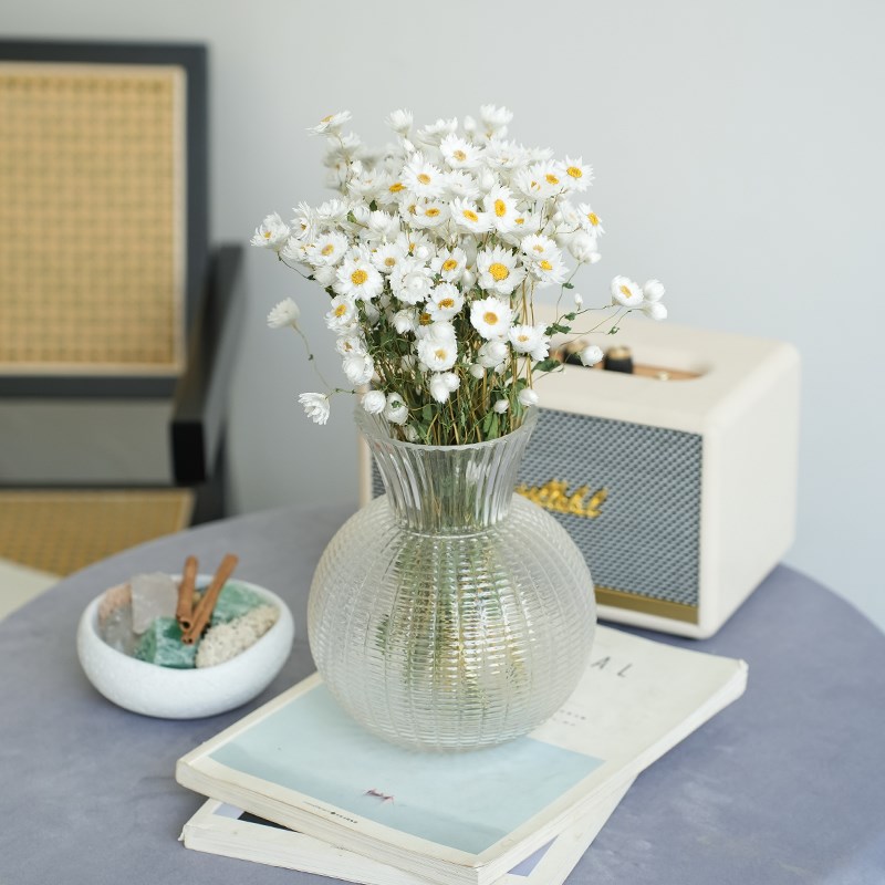 天然罗丹斯小雏菊干花鲁丹鸟风干真花插花小清新拍摄道具摆件