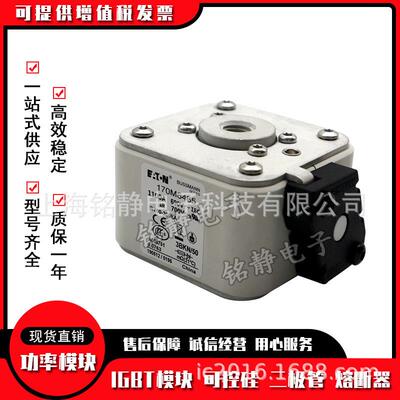 170M6314170M6315170M6316170M6317巴斯曼熔断器现货170M6318