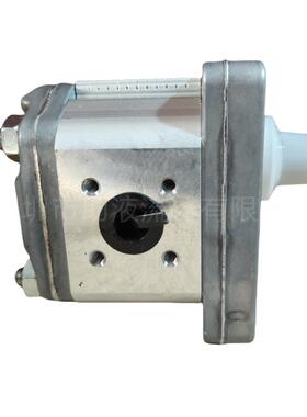 Marzocchi马祖奇ELIKA系列低噪音泵斜齿泵ELI2A-D-9.6-T0-D-N