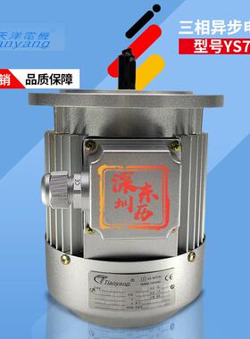 天洋电机YS7124立式B5法兰安装3~AS.MOTOR0.37KW380V马达