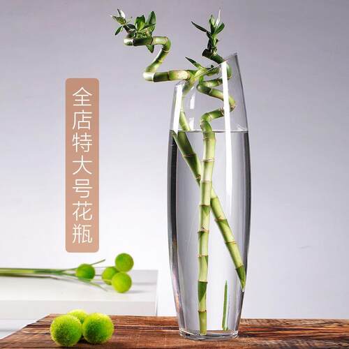 特大号简约富贵竹创意斜口平口透明玻璃花瓶干鲜花插花花器水培植