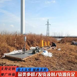 养殖场火炬养牛场火炬燃烧器沼气池火炬废气沼气火炬沼气设备