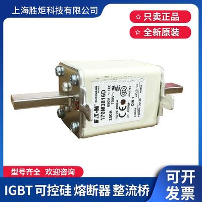 熔器保险丝全新170M3815D/381D/3D6817/38PVD18断D/3819D原装现货