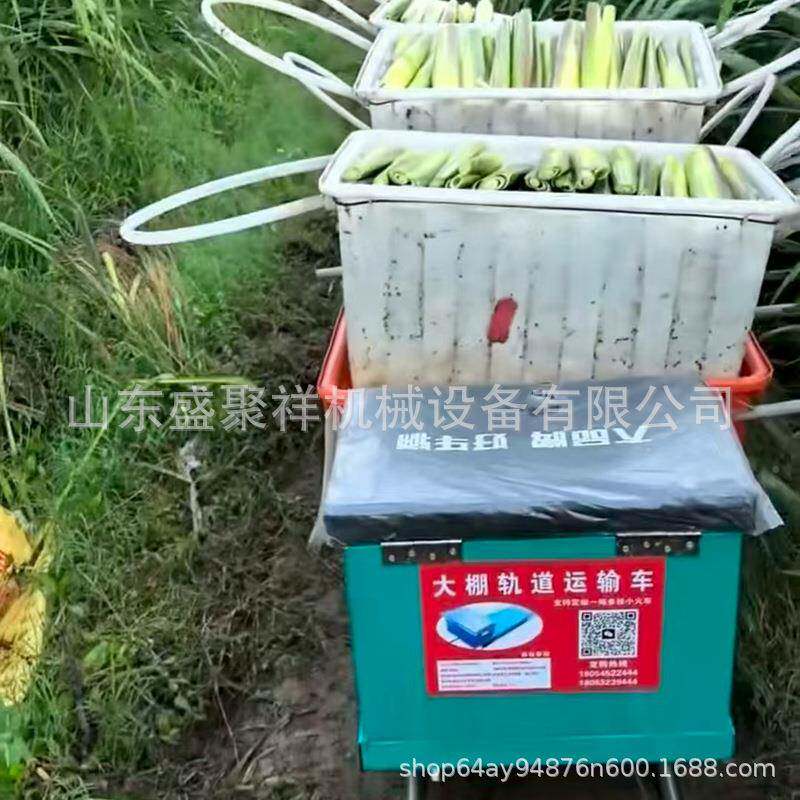 农电双动遥控轨道车大棚菜221水果轨用道蔬拉货运输车