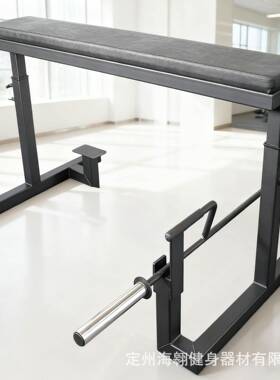 卧拉健身房卧拉凳海豹划船可调架划卧拉QAW凳俯式卧船卧式提拉架