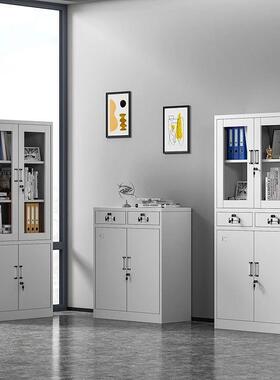 钢制文件档柜资料柜办公室柜铁皮柜带锁矮财凭证柜案柜更衣OLR柜