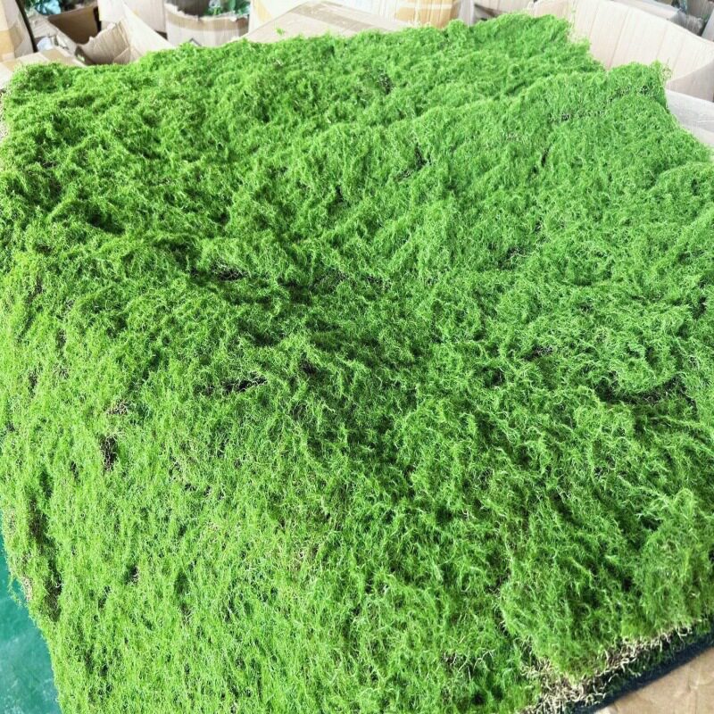 曲丝仿真植物绿植墙苔藓青苔地毯草坪景观园林铺设门头长廊文化