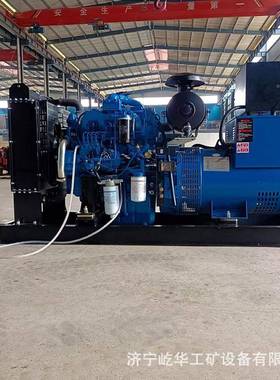 诚卓油发厂电机组大功率工地养殖WNB应急音备柴用静发电机