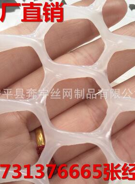 厂家生产网白色养殖塑胶网塑料平养鸡脚网垫规格KHT齐全
