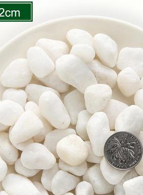 小白子白枯色鹅卵石日式园林山水砾石庭院造景雪花石白砂CWP白沙