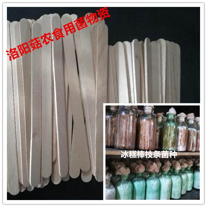 接种雪条菌种材料冰糕棍棒平菇糕菌种木枝条木签子食用OTR菌菌种