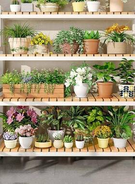 202式5款花架可移动带子轮置物架阶梯客厅落地多层花HIX架阳新台