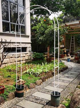 简易铁艺拱AL100M66门花架月季藤藤架路引架爬子月葡萄丝瓜攀爬加