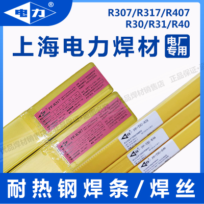 电力J50R30R31R40焊丝R307R317R407耐热钢P91 T91 E9015-B9电焊条