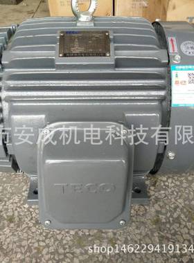 东元电机TEGH160M-415HP11KW4PAEEFF3B3IP5550HZ