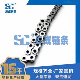10BHPF3短节距空心销轴链条节距15.875空心链网带穿杆链