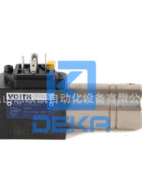 德国压力继电器DS-100-P0-300-S-P