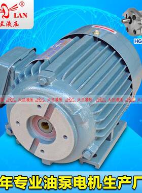 直销DALAN大兰液压电机HGP-1A油泵专用电机DL-802-4-0.75KW