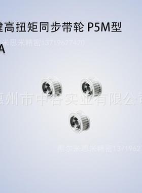 同步带轮PTLA30P5M100/150-E-F-[10,11,12,14,15,16,17]代米苏米