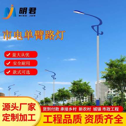Led路灯杆户外新农村4/5/6/8/10/12米小区广场市电道路高杆灯
