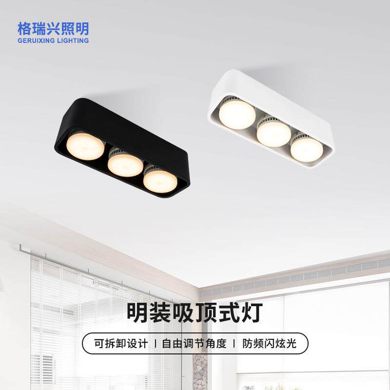 明装吸顶灯圆角三头可调吸顶灯极简创意led客厅玄关阳台灯饰