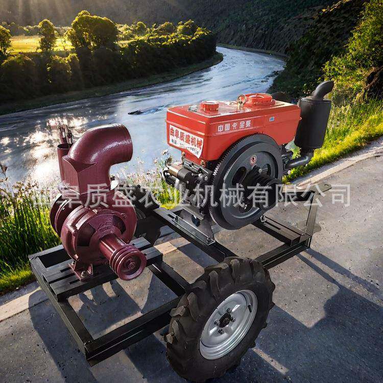 全套浇地自吸泵小型高压农用6寸水冷柴油机离心泵