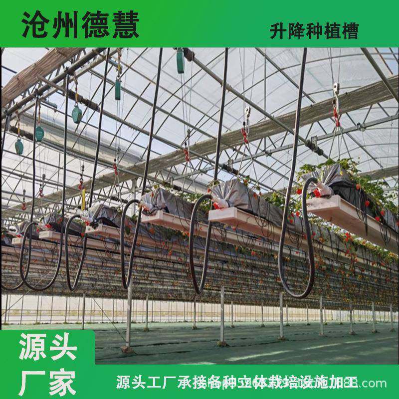 升降立体种植槽空中草莓无土栽培花卉蔬菜种植大棚高架草莓种植,工业油品/胶粘/化学/实验室用品,其他实验室设备,淘宝优惠券,粉丝福利购,淘宝优惠卷