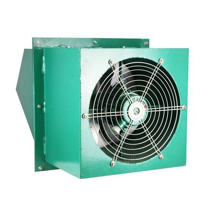 边墙式WEXD-450D4带防雨罩、防虫网（防爆）轴流风机功率0.25kw