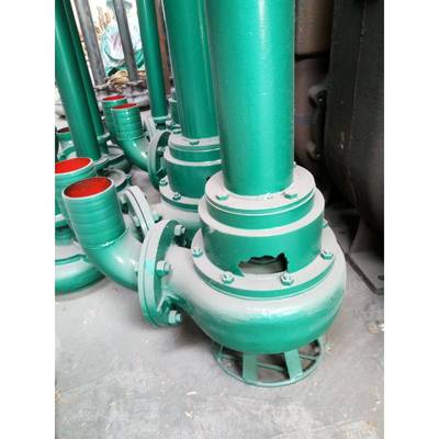 双吸立式排污泵大流量100SWY80-15立式泥浆泵化粪池抽取泵