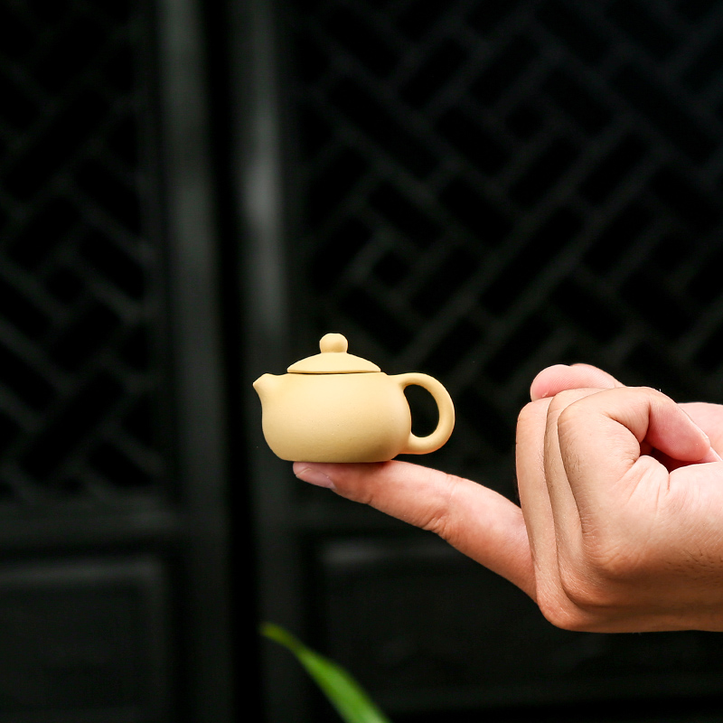 紫砂小茶壶茶宠摆件精品可养迷你袖珍茶配手工可爱小号指尖壶茶玩