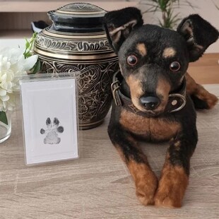 宠物爪印纪念狗狗爪印印泥diy脚印相框猫咪掌印实木照片纪念摆台