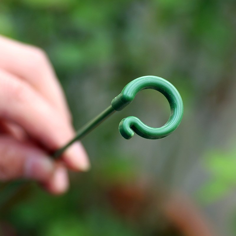 植物防倒伏花架子园艺固定支撑单杆室外花园月季爬藤绣球撑花支架