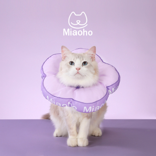Miaoho花朵宠物猫狗伊莉莎白圈  全新防挣脱防卡猫设计 新款升级