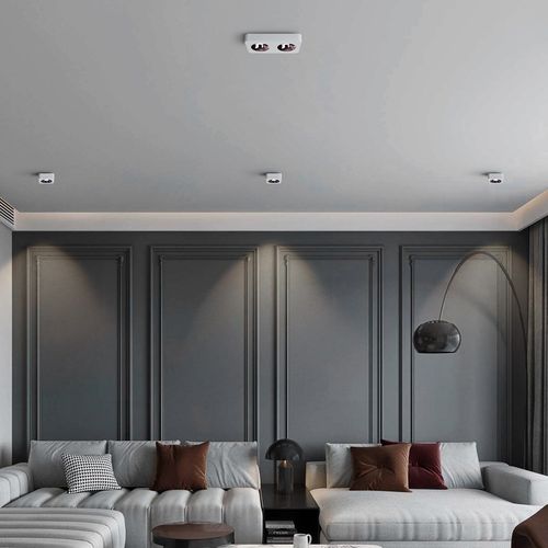 至御薄款双头明装射灯cob无主灯客厅卧室书房天花盒子斗胆灯040