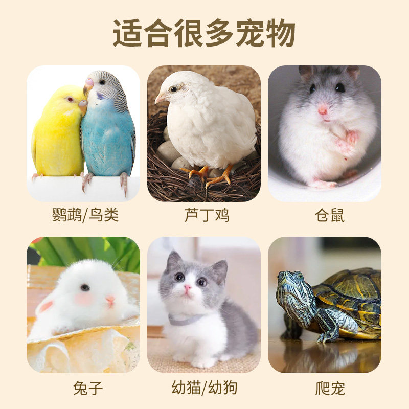 鹦鹉芦丁鸡鸟用加热保暖保温灯取暖器专用玄凤鸟笼饲养箱过冬神器,宠物/宠物食品及用品,鸟禽其他,淘宝优惠券,粉丝福利购,淘宝优惠卷