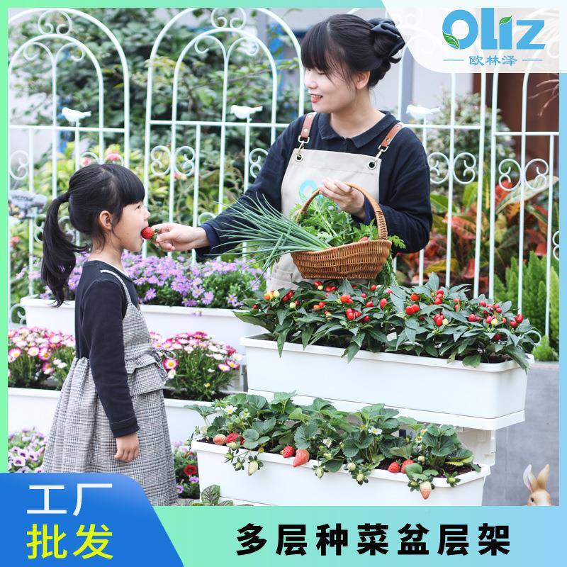头批多发D203欧林泽阳台庭种菜花盆院花架置物架层室内户外源分体
