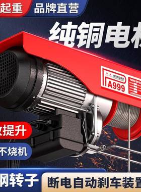 雄象微型电动丝葫100-200芦小型吊机22V0110V家用楼顶钢绳起重电